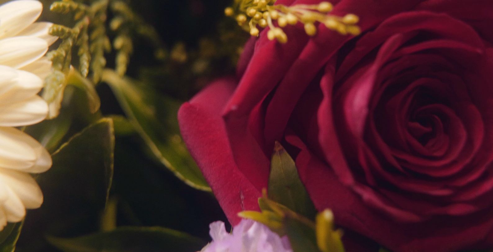 screenshot 2025-10-15 at 15.03.41.png